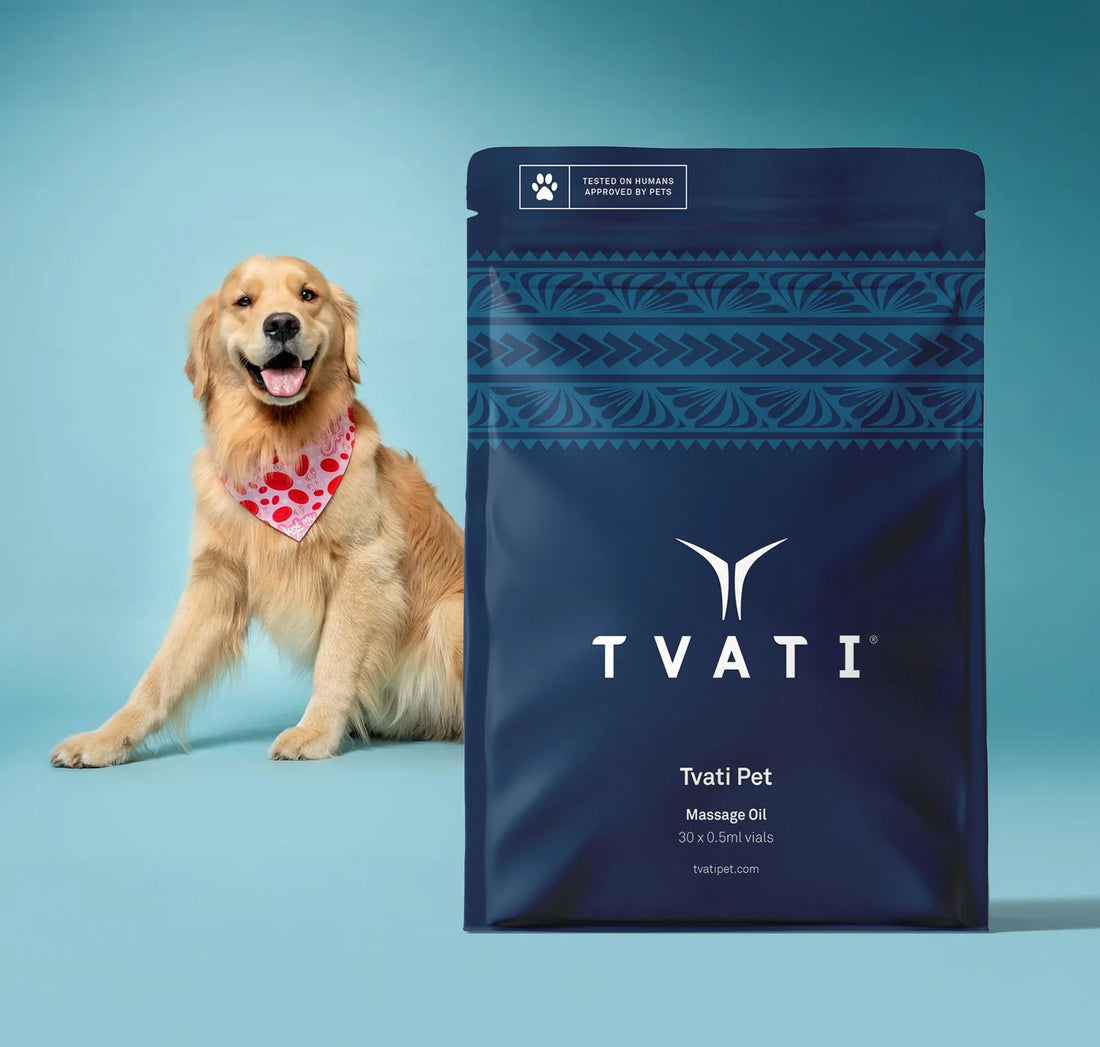 Natural Pet Ointment for Joint - Tvati Pet Product 